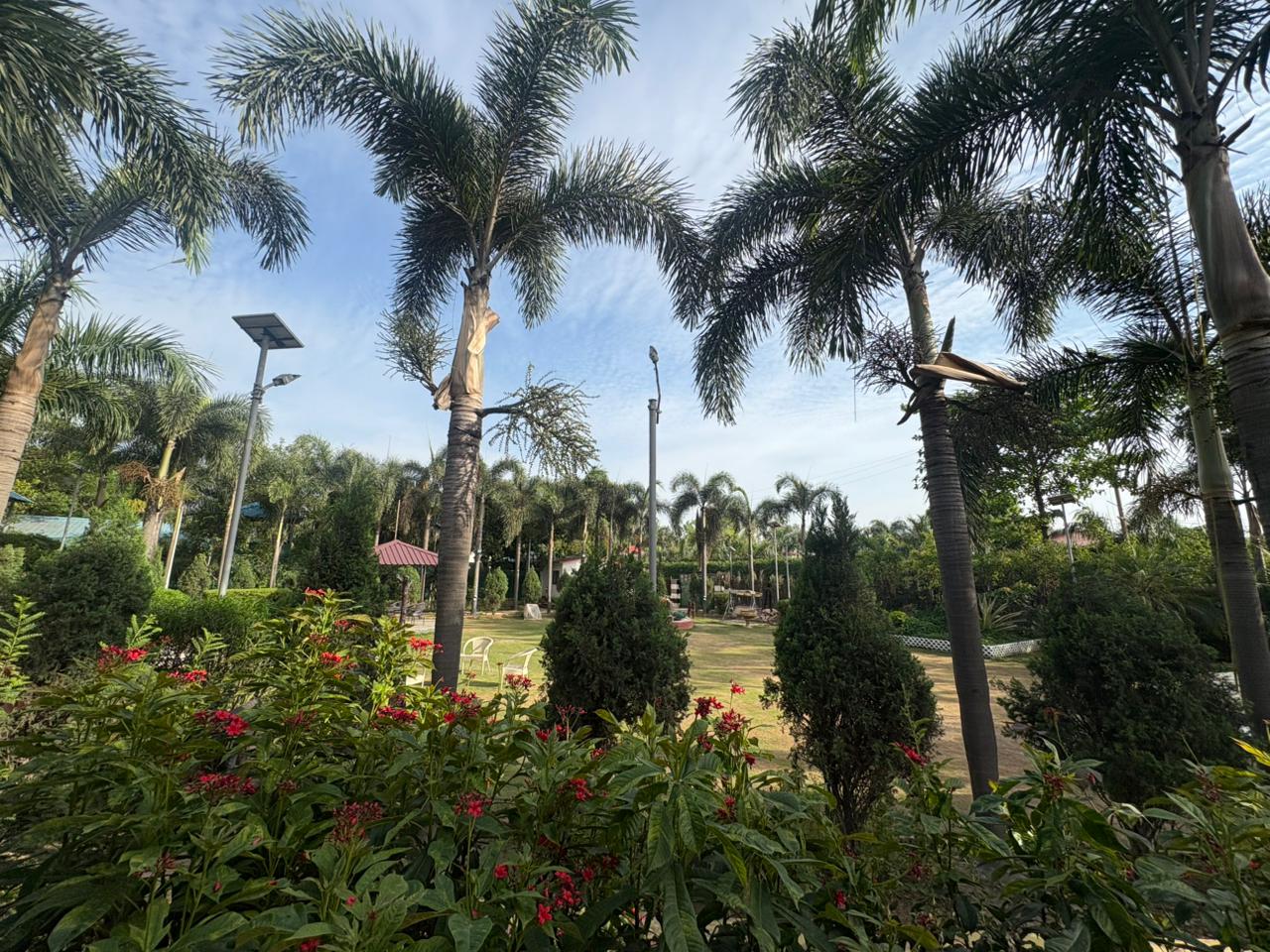 Exotica Farms view 11 thumbnail